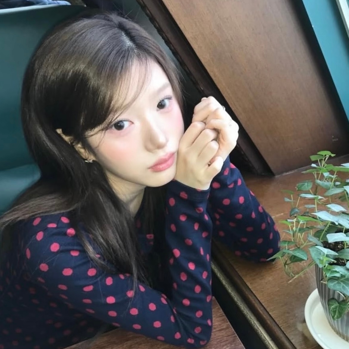 𝗦𝗵𝗮𝗿𝗲｜成套搭配微信头像+背景图成套｜氛围感搭配｜清新治愈｜高级冷