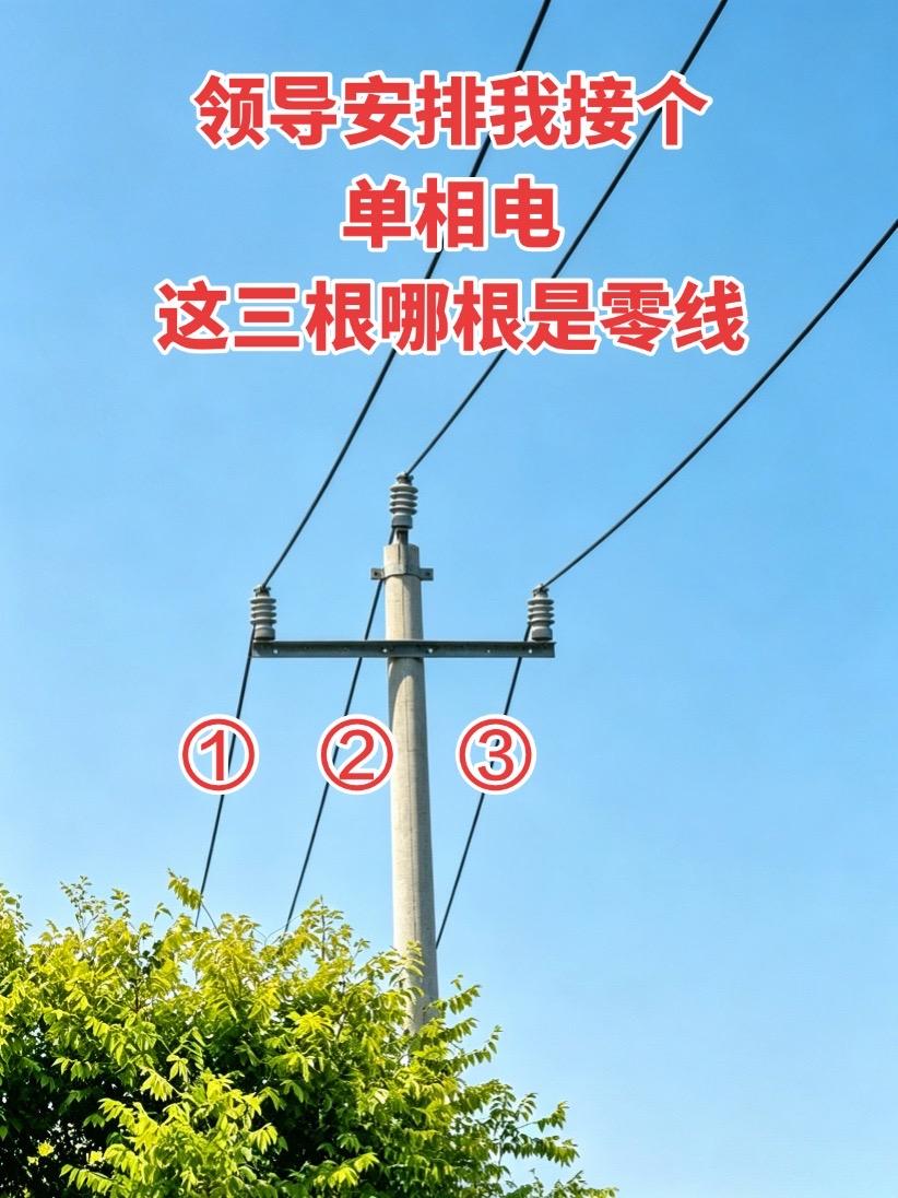 领导安排我接个单相电，这三根哪根是零线呢？