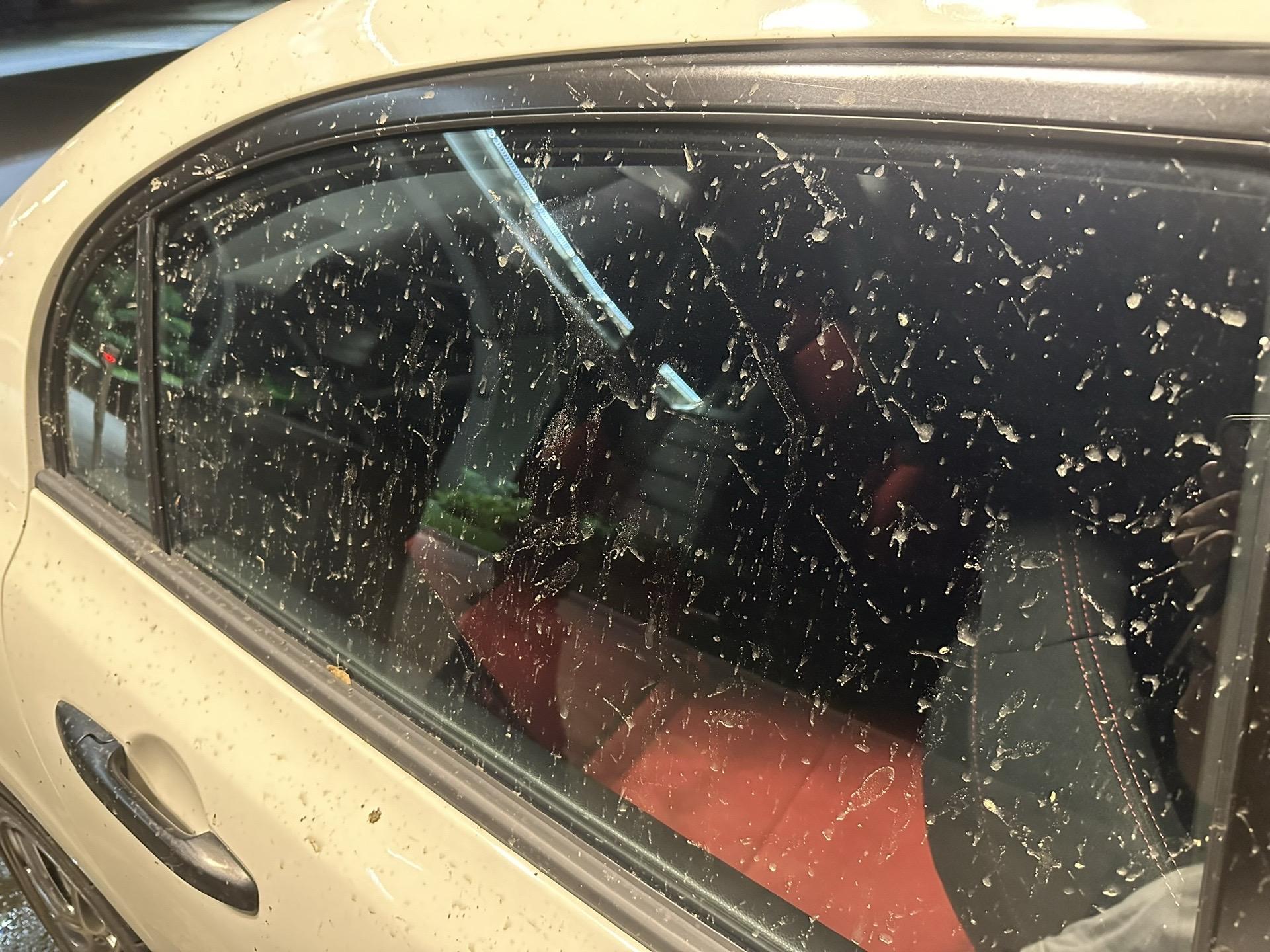 清远洒水车真的不用休息吗？一个星期洗3次车脏7天。