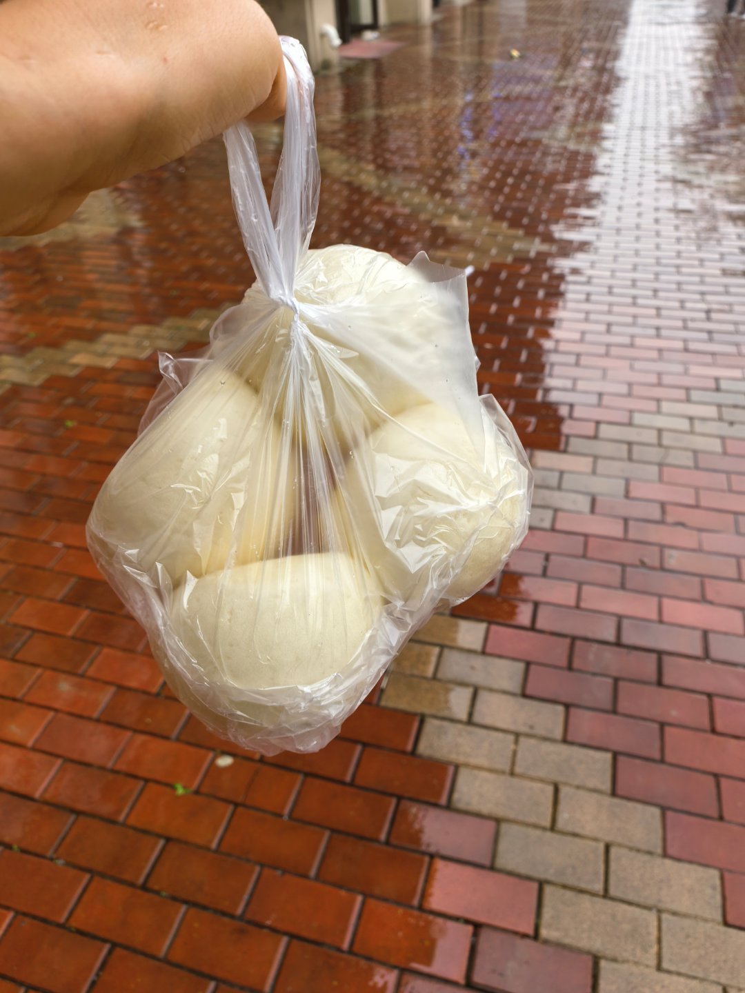 今天和好姐妹学了一个养胃的吃法，一出门下雨啦，打上我心爱的小雨伞买馒头，切片，开