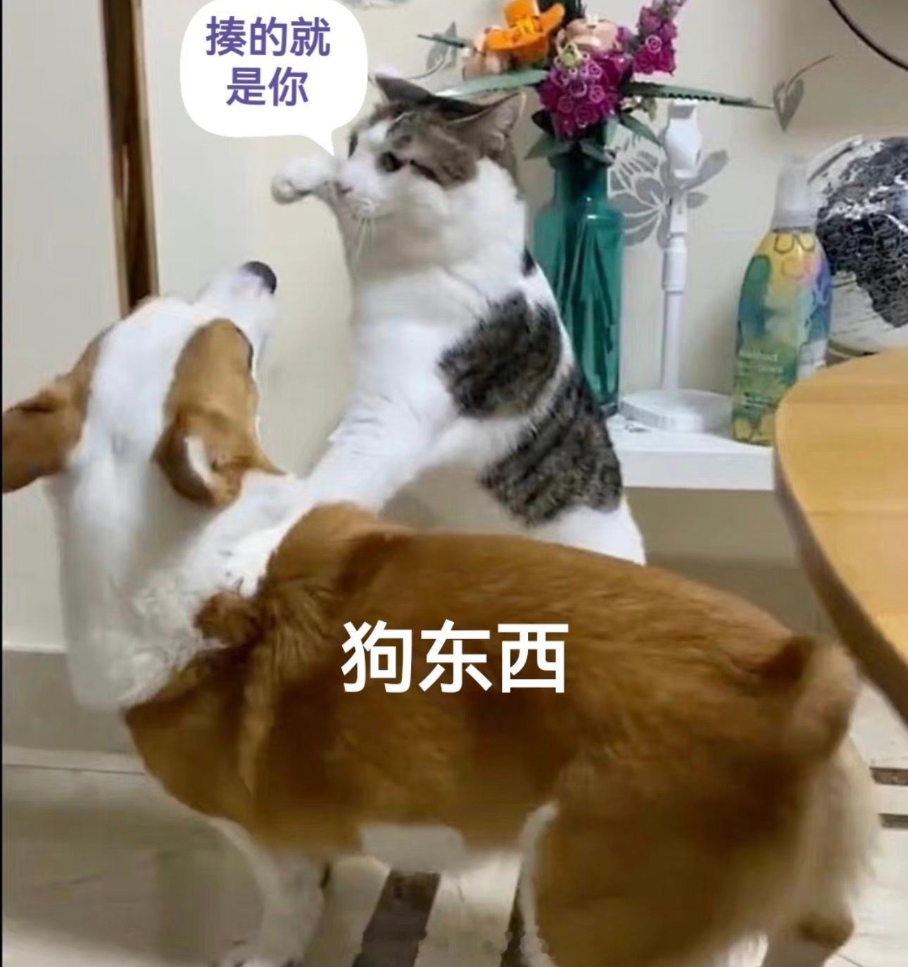 纸尿裤 有毒我真的服了、孩子的东西能不能不这样啊、真的没有心、都什么人啊 