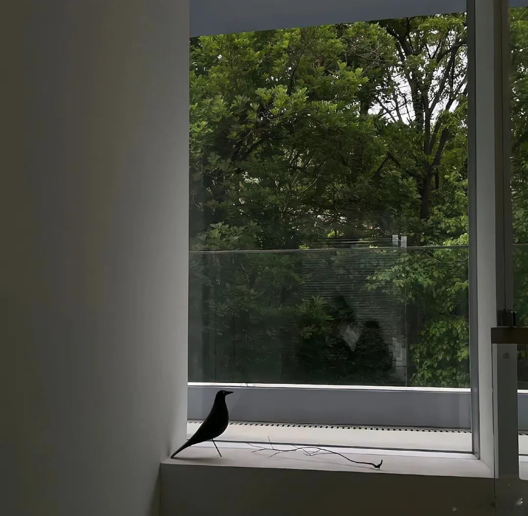 你可以要求自己守信，但无法要求别人也守信；你可以要求自己对他人好，但不能期待人家