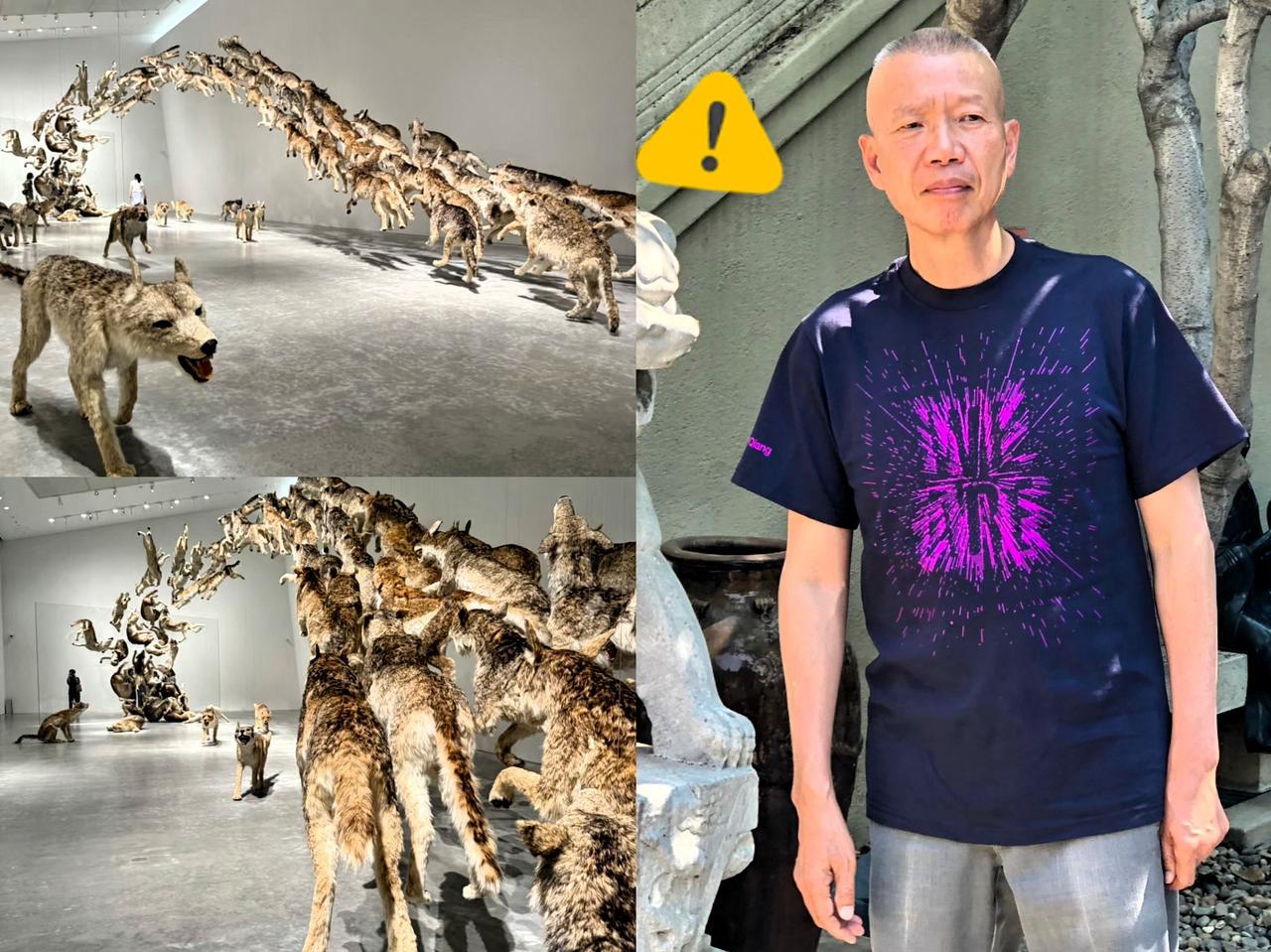 真的不能再查蔡国强了
越查越不得了！2006年的时候他用了99头狼搞了个
作品叫