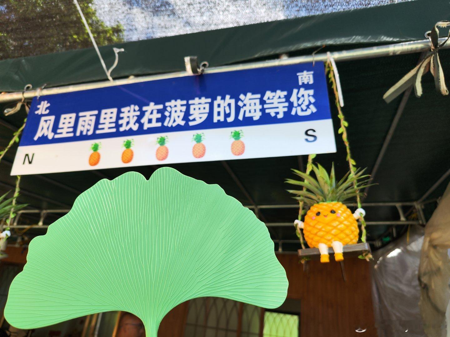 徐闻菠萝的海，尝到了甜甜的小菠萝，学会分辨出，菠萝头带刺的叫菠萝，不带刺的叫凤梨