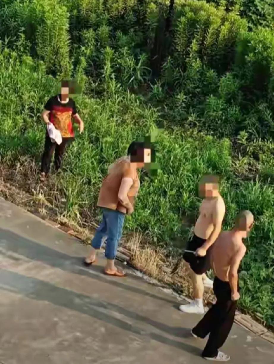 江苏启东，一老太因琐事跟邻居大爷吵架，为报复大爷，她偷偷跑到大爷家菜地喷洒草甘膦