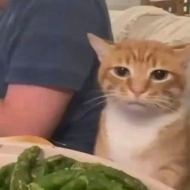 谢娜喊话薛之谦什么情况隐约记得吵了好几年了尤其是这次还牵扯很多人希望有回应要不大