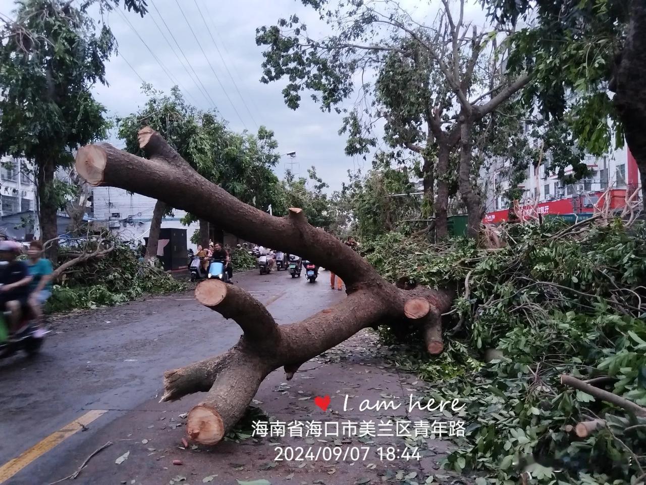 海口青年现场实况
​2024年9月7日，海南省海口市遭遇台风肆虐，被迫全城停水停