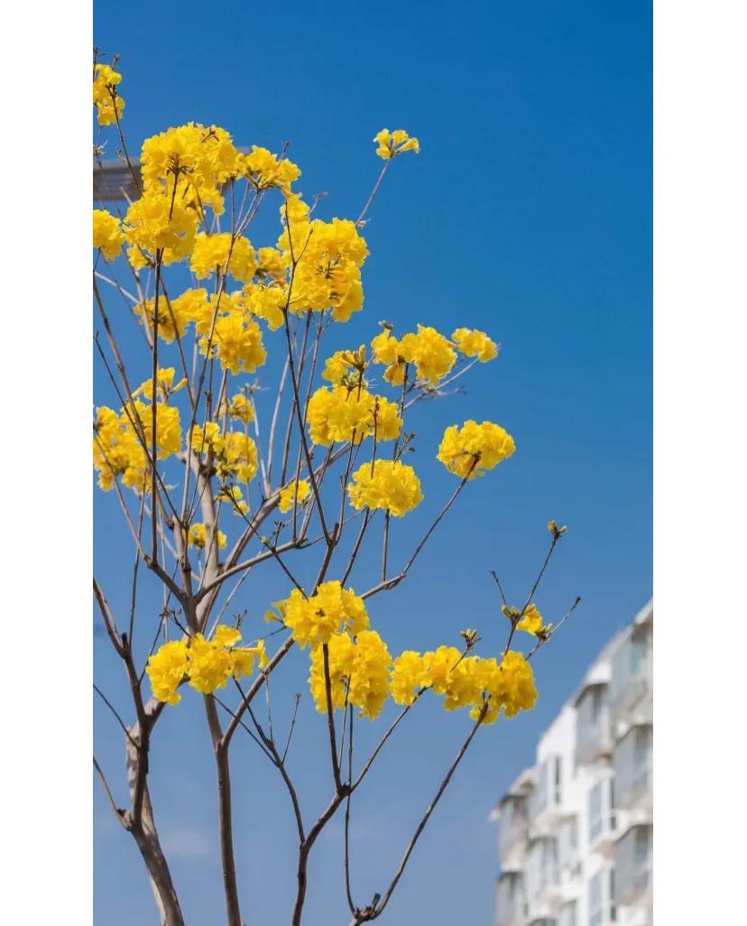 心里有事给自己妈打电话，结果
说到最后发现那边开着外音，还有其他人在，还是认识的