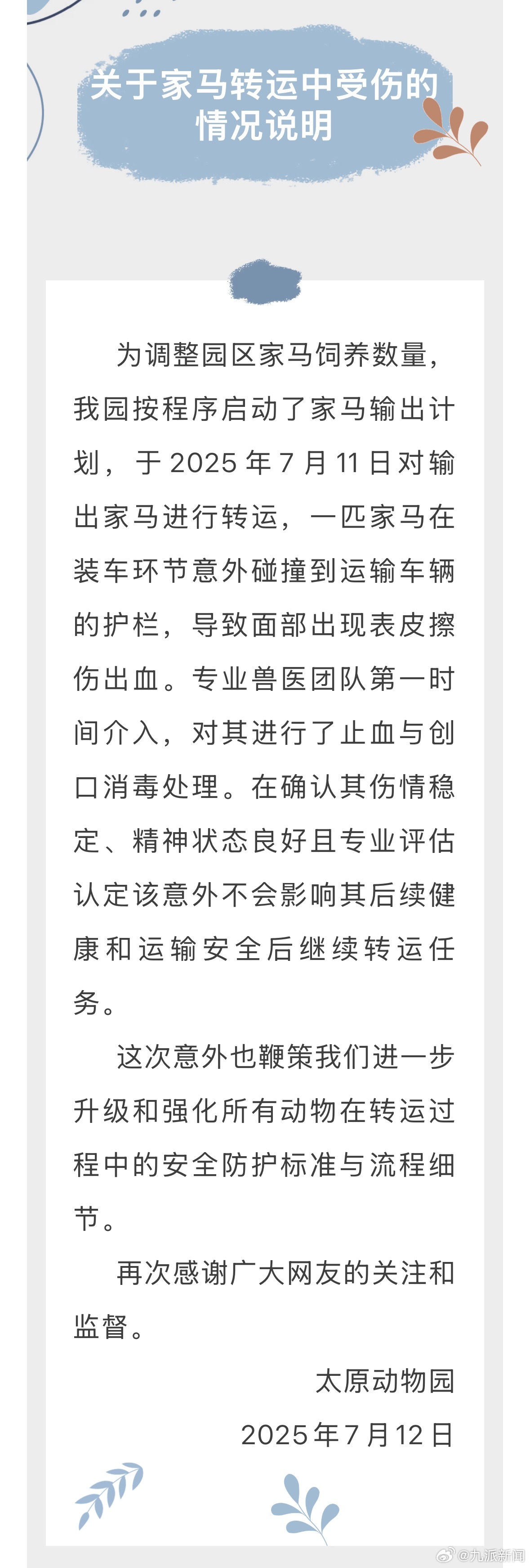 【#动物园通报马匹转运时受伤#：装车环节碰撞到运输车辆的护栏，兽医第一时间对其止