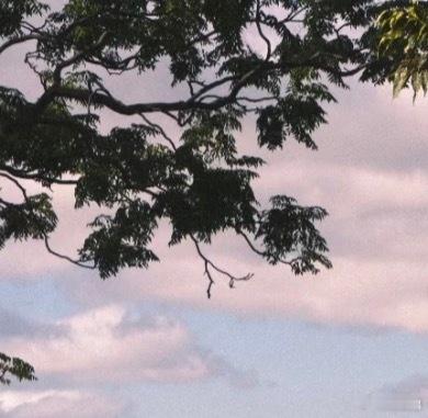 晚安 把月亮的温柔、星星的闪烁都打包进梦里，晚安，好梦！ 