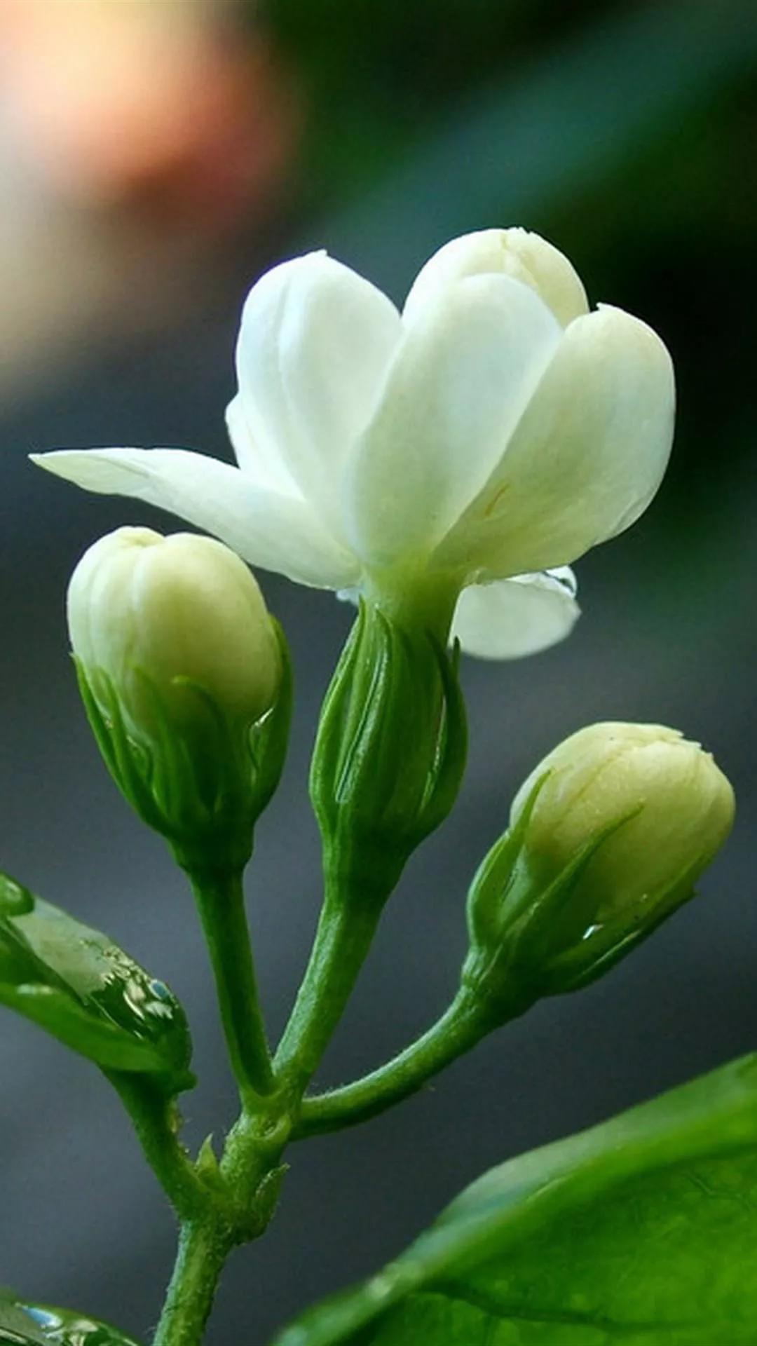 告别头条创作训练营，我选择做自由的健康分享者
 
“去你的，头条创作训练营！”当