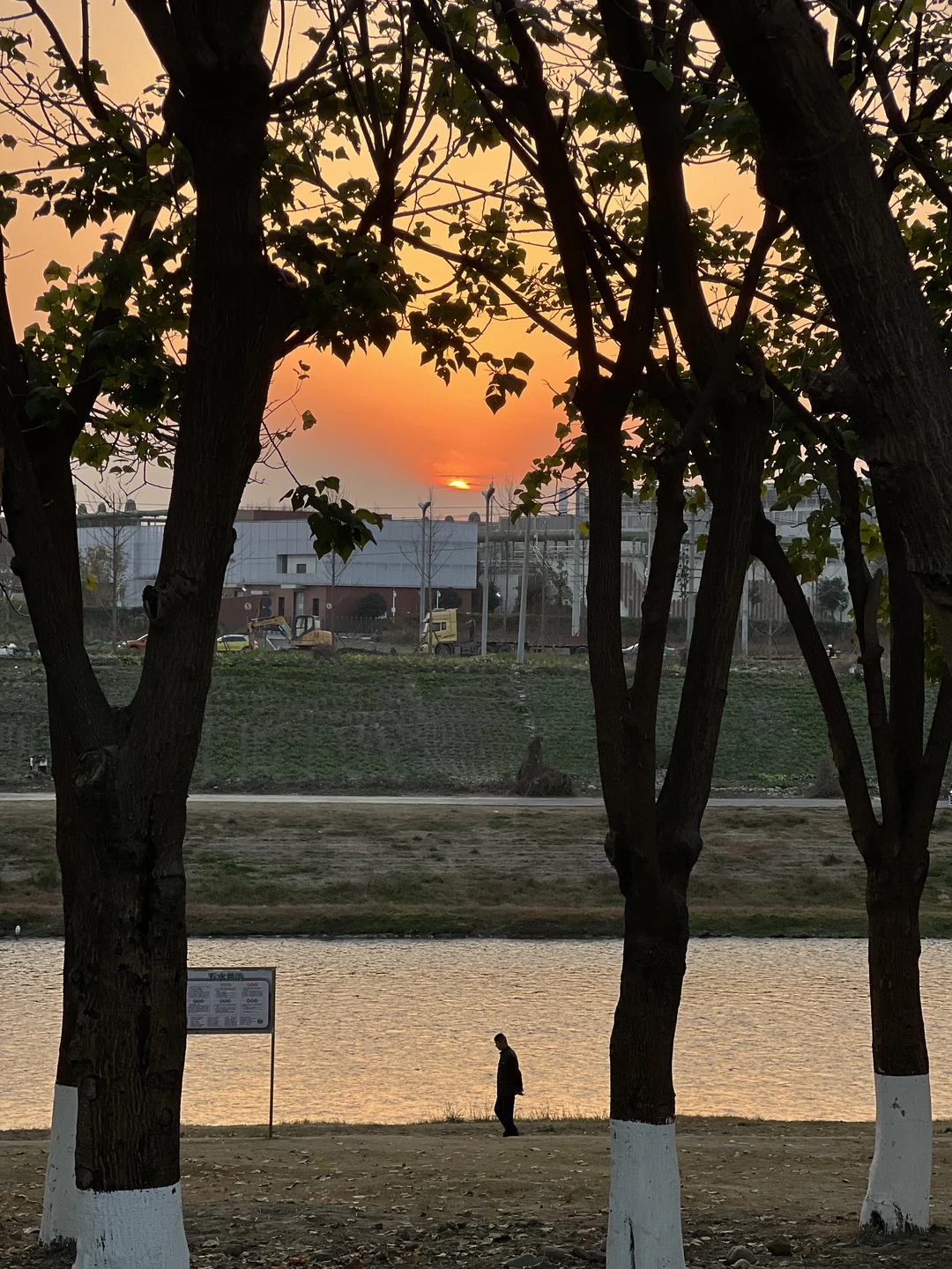 骑车下班回家的馈赠🌄