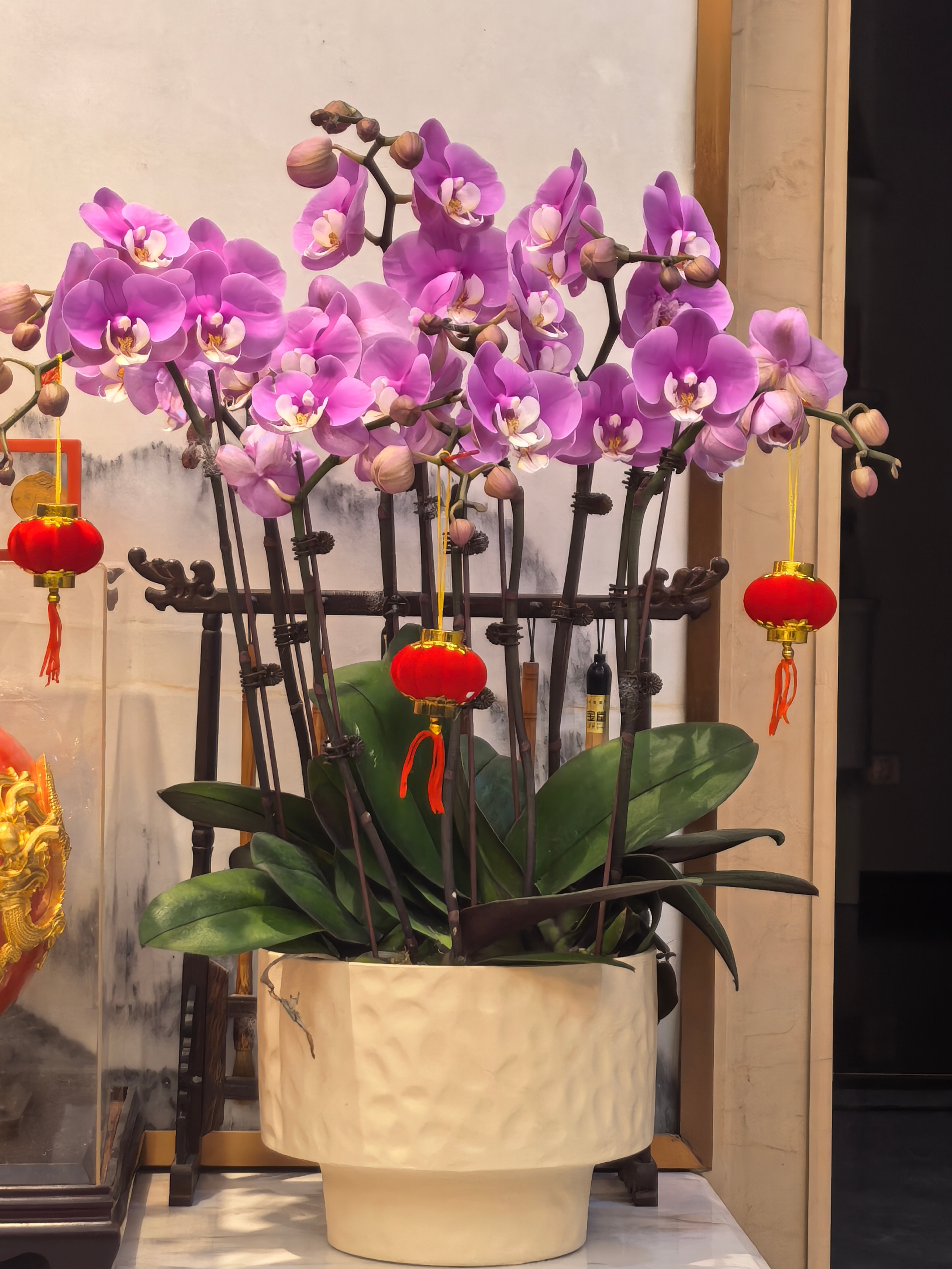 大家除夕快乐🎇🎇🎇新的一年大家一起继续幸福快乐！！！ 