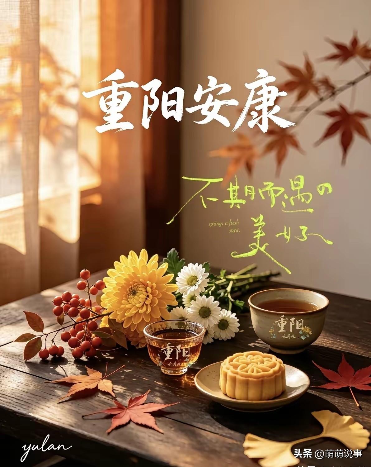 今年重阳来得安静。

不是朋友圈没人发祝福

也不是超市里少了菊花糕。

是年轻