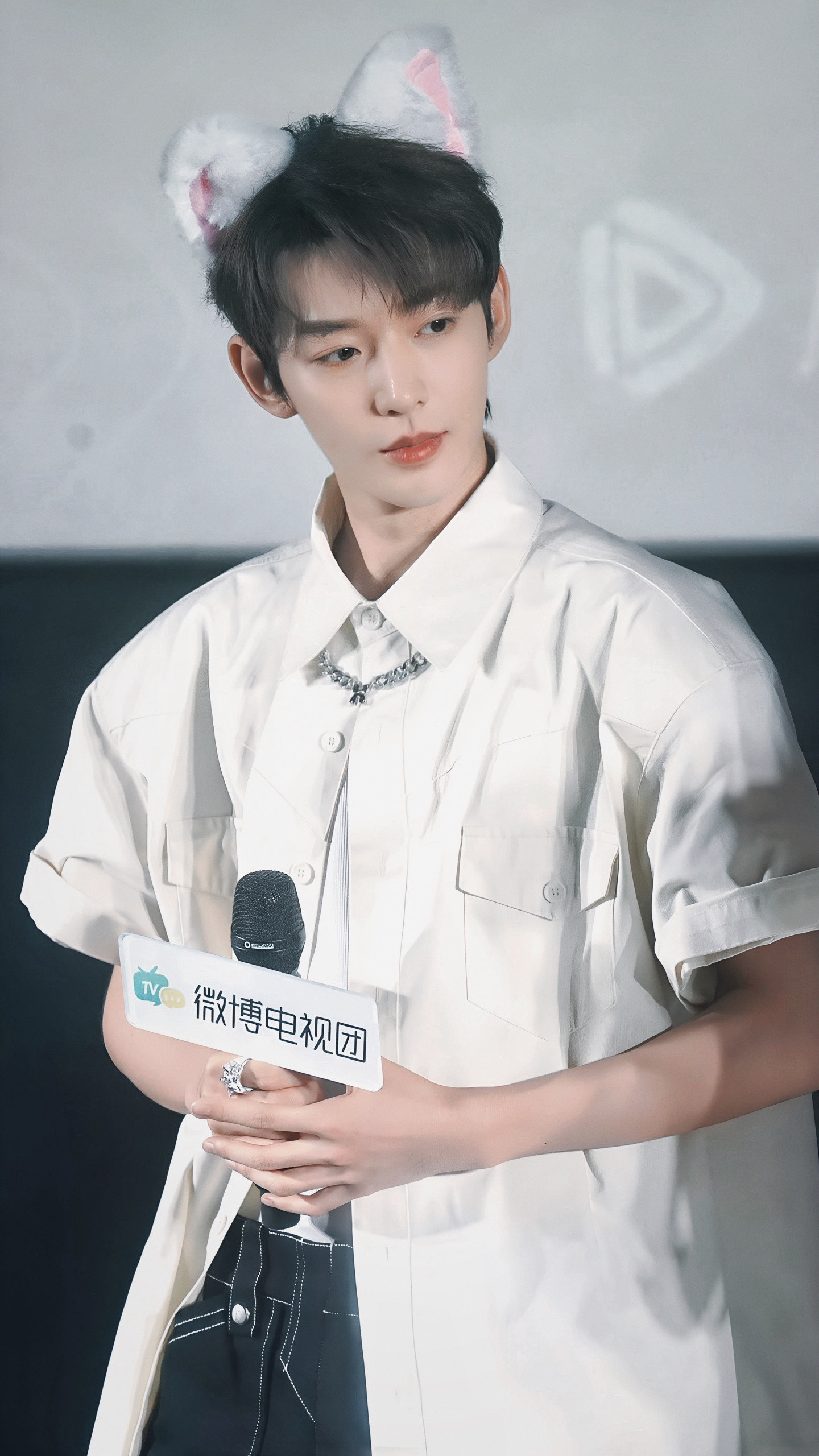 小狐狸绝美