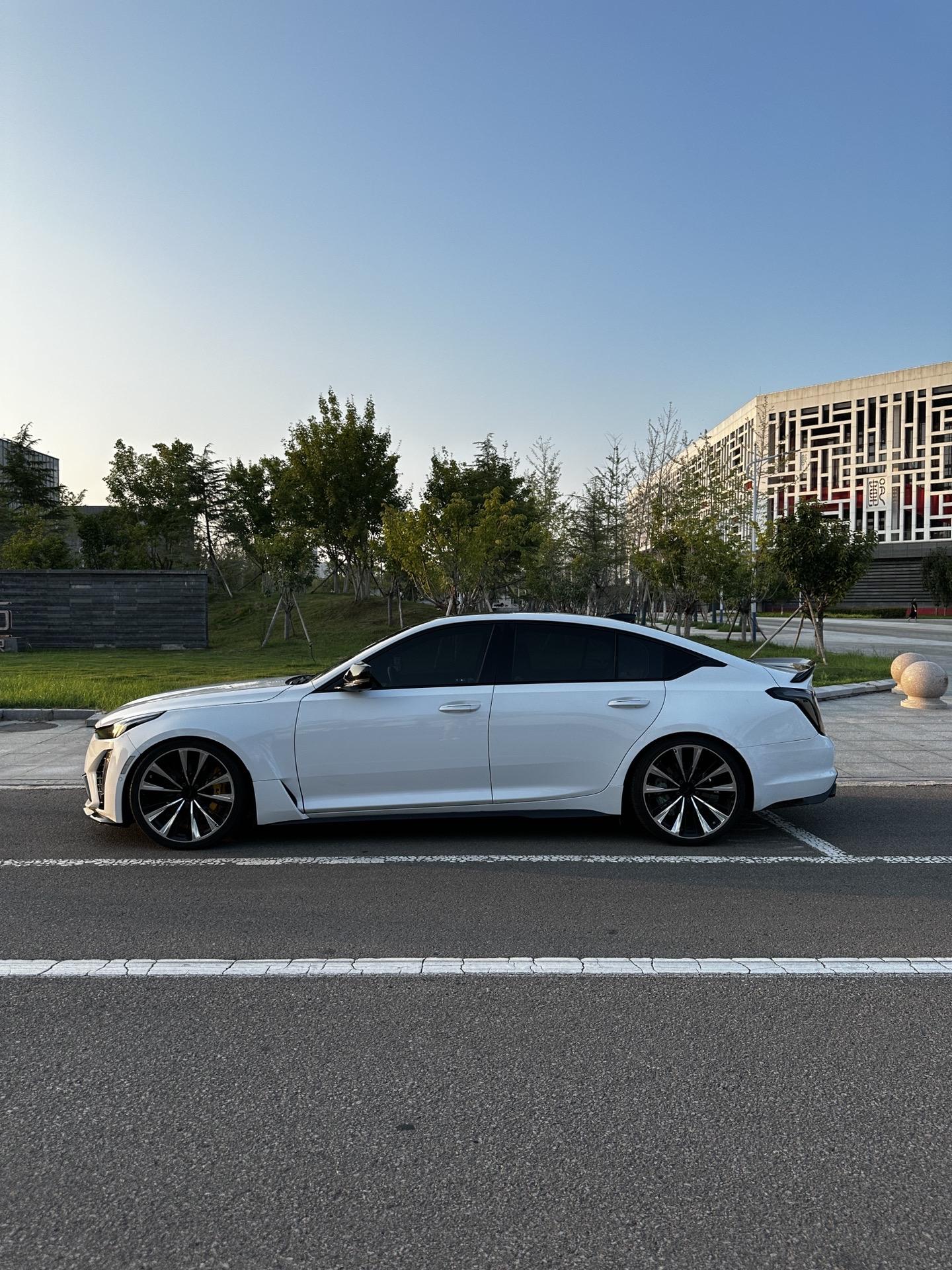 宽体 溜背 爱不爱。