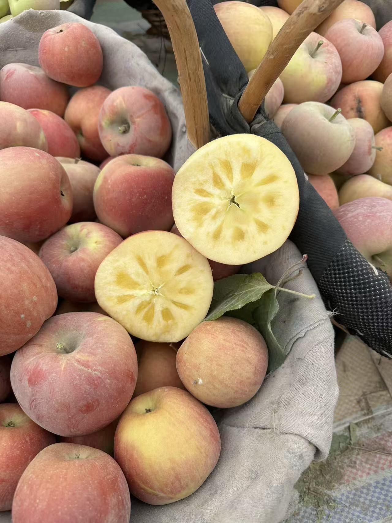 一年一季的苹果来了，姐妹们点预约一下时间优质农产品 新鲜采摘 脆甜多汁 冰糖心苹