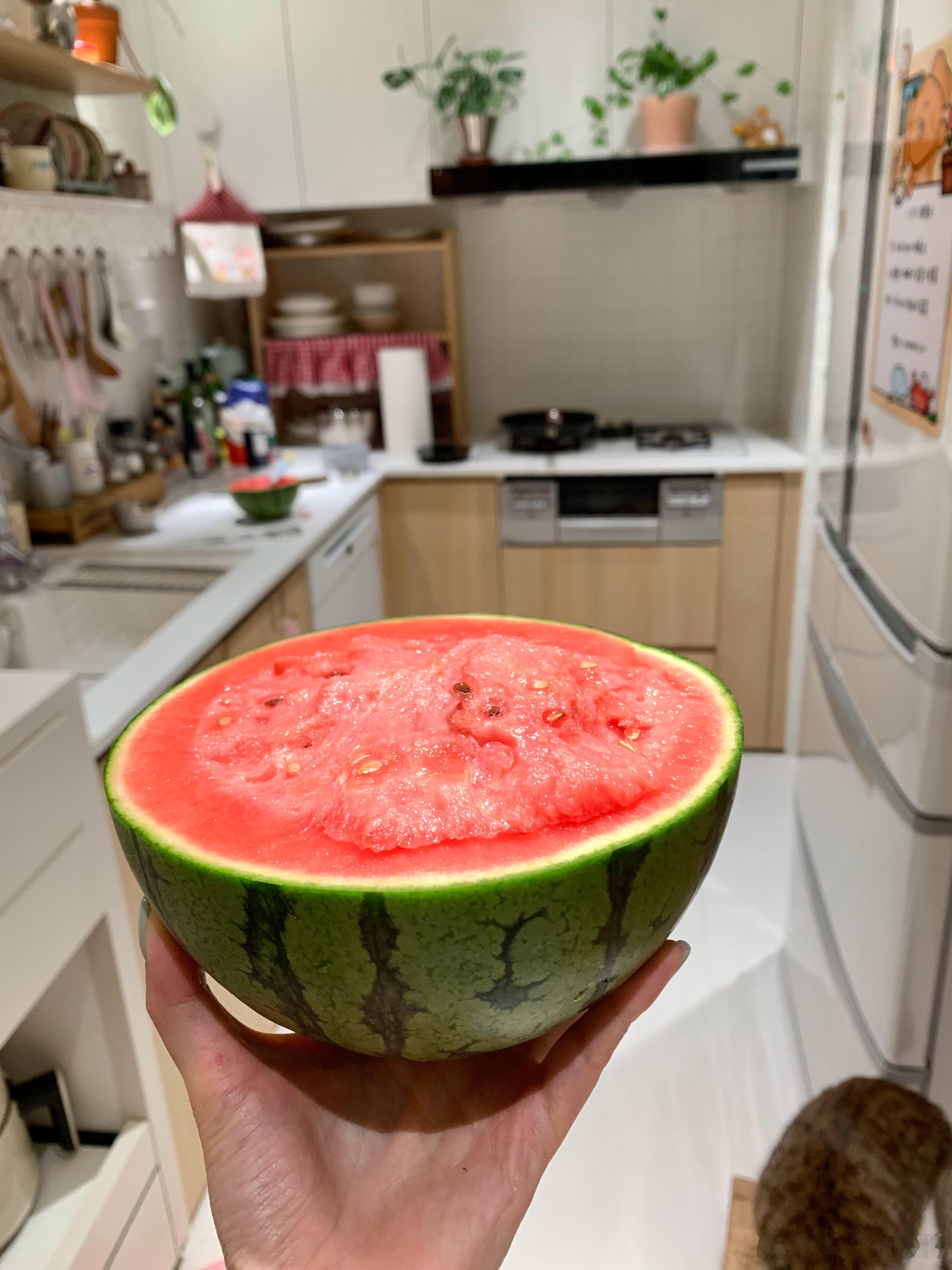 报告 我到家啦!!!!   还是家里舒服🥹 