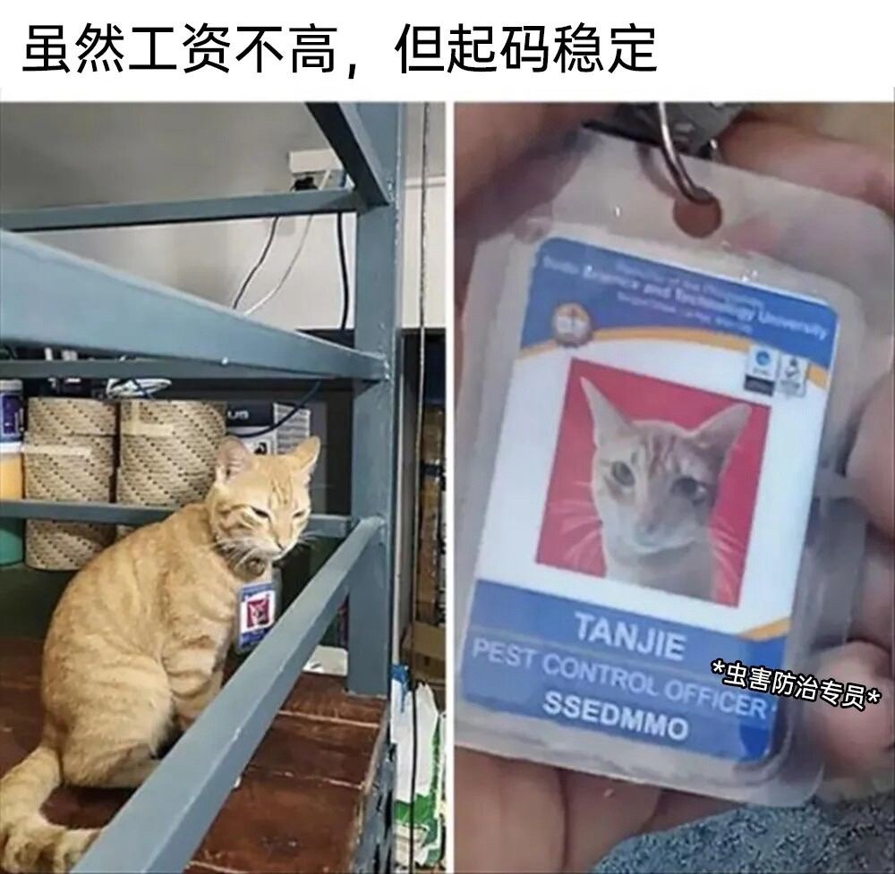 生活不易 ​​​