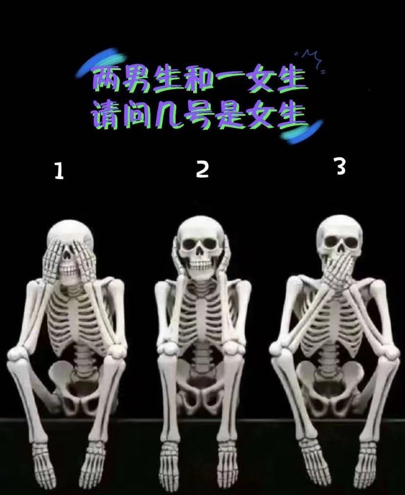 在这三具人体骨架之中，隐藏着两具男性骨架和一具女性骨架。
我们依靠骨骼本身的形态