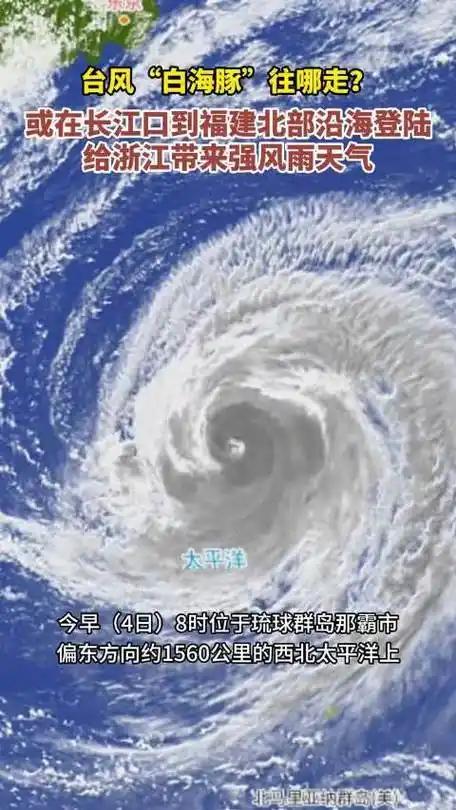 今年第13号台风“白海豚”已于8月9日夜间至10日凌晨在浙江中南部沿海登陆，登陆