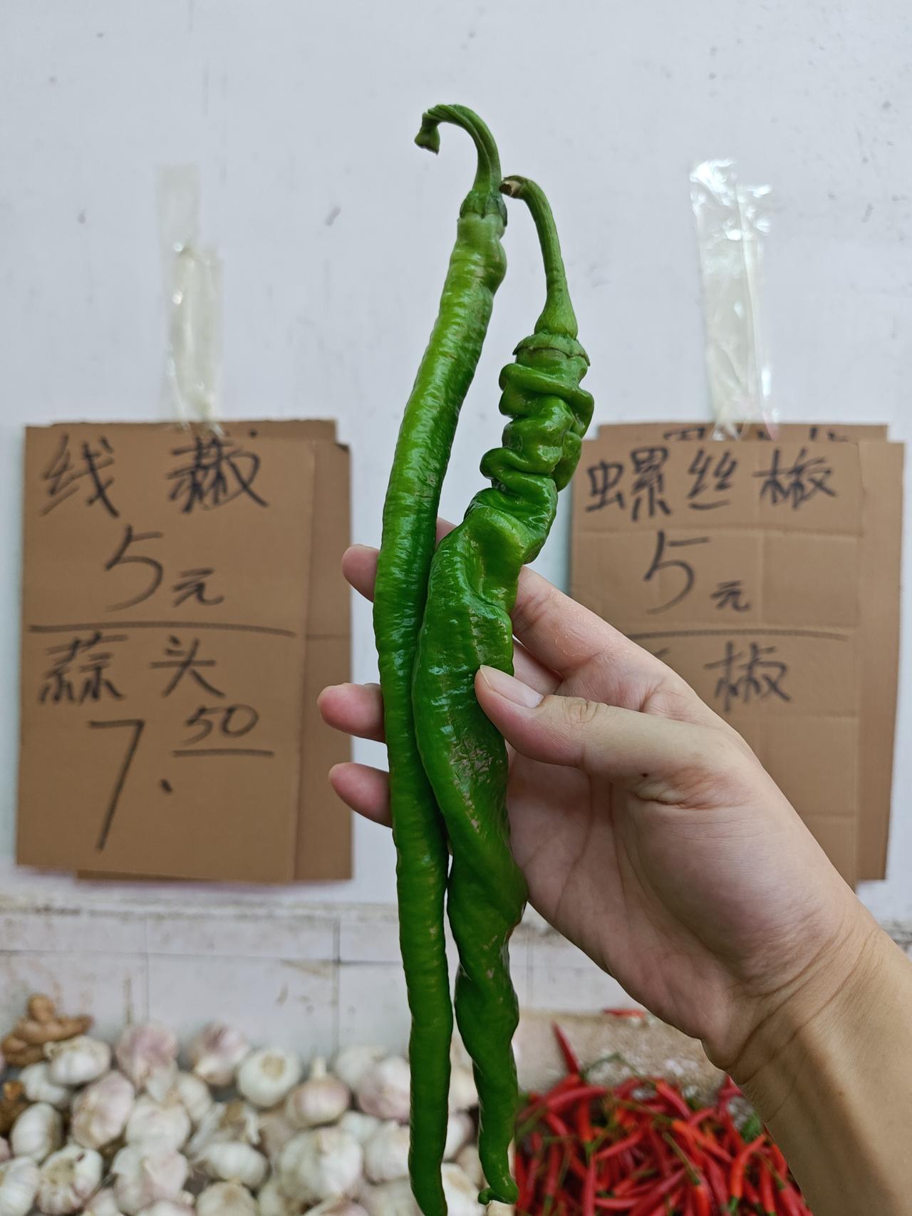 市场生物课：螺丝线椒（图2）是不是线椒和螺丝椒（图1）的杂交后代？