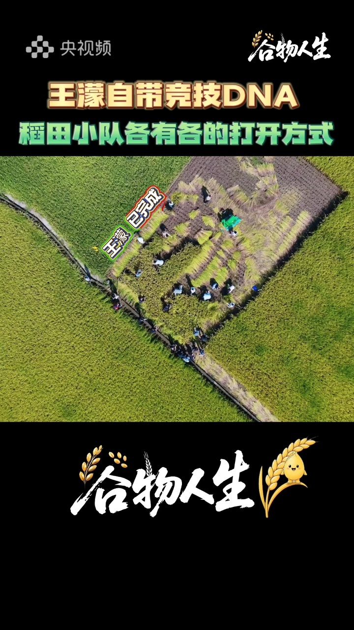 王濛从没打过这么久的仗  咱就说你遇到竞技性选手王濛你就快快走开吧，这次在冰场直