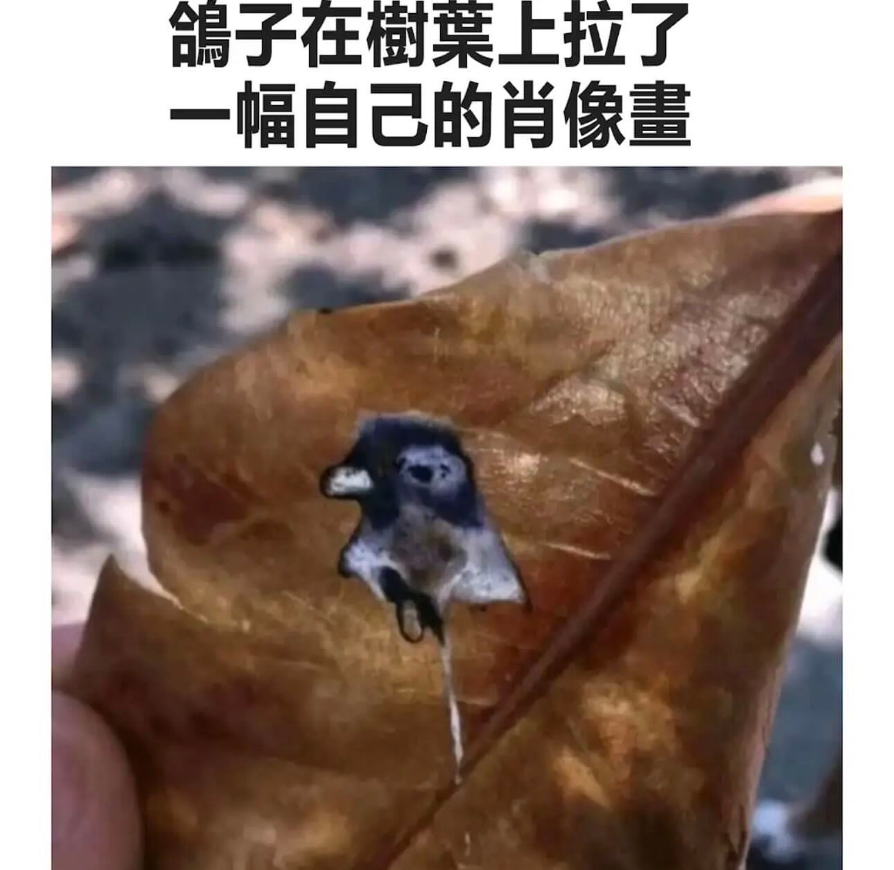 小小便画家👍🏻meme