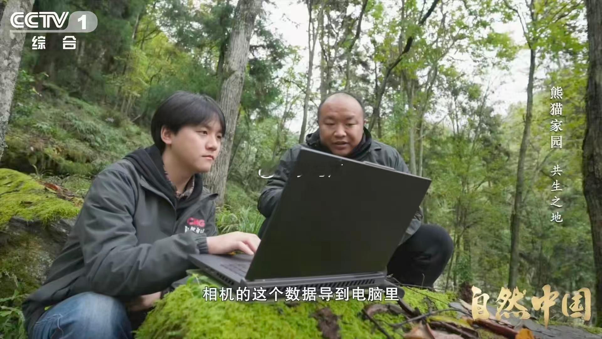 大熊猫也用上猫脸识别系统了【AI刷脸正为大熊猫建立身份证】给野生大熊猫“刷脸”是