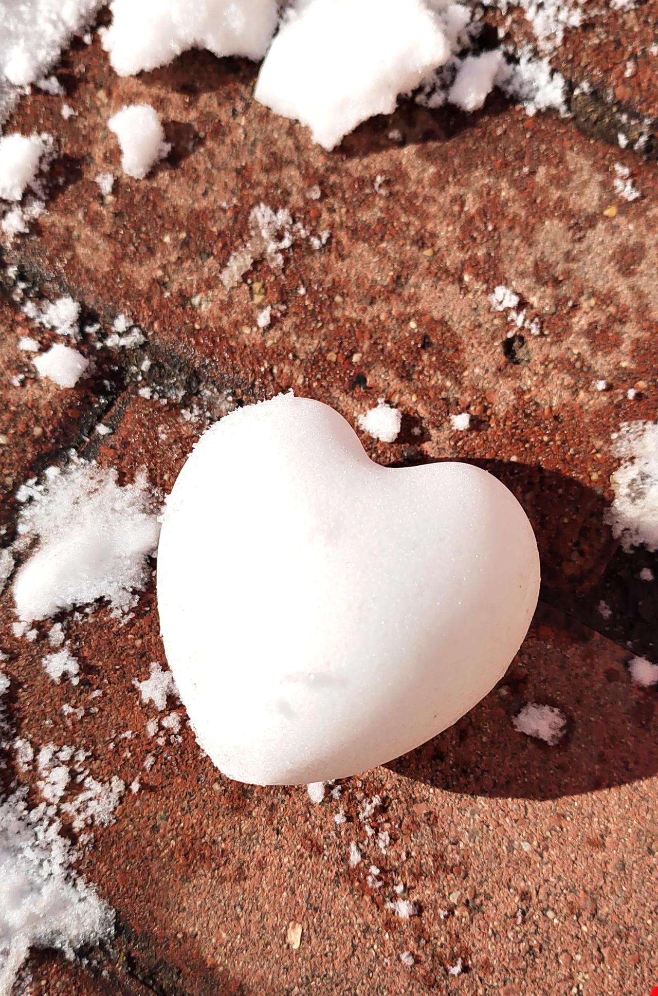 #春日生活打卡季#这也许是哈尔滨的最后一场雪了，周六下的一场大雪，还好这几天都保