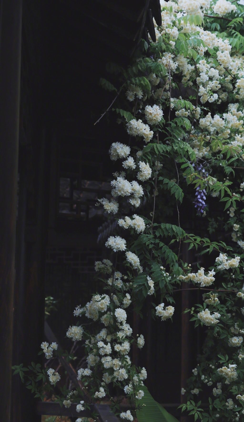 “今天飞花令｜主题【晚、妆】古诗词    ”                  