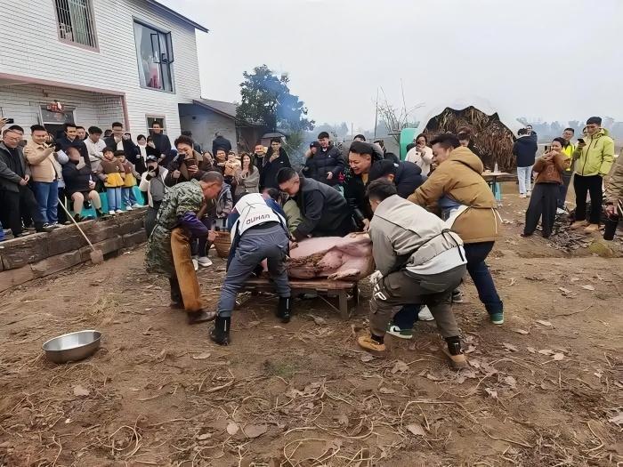 【多地紧急叫停刨猪宴】
跟风，其实流量很容易走向负面。哪怕举办成功。
媒体报道，