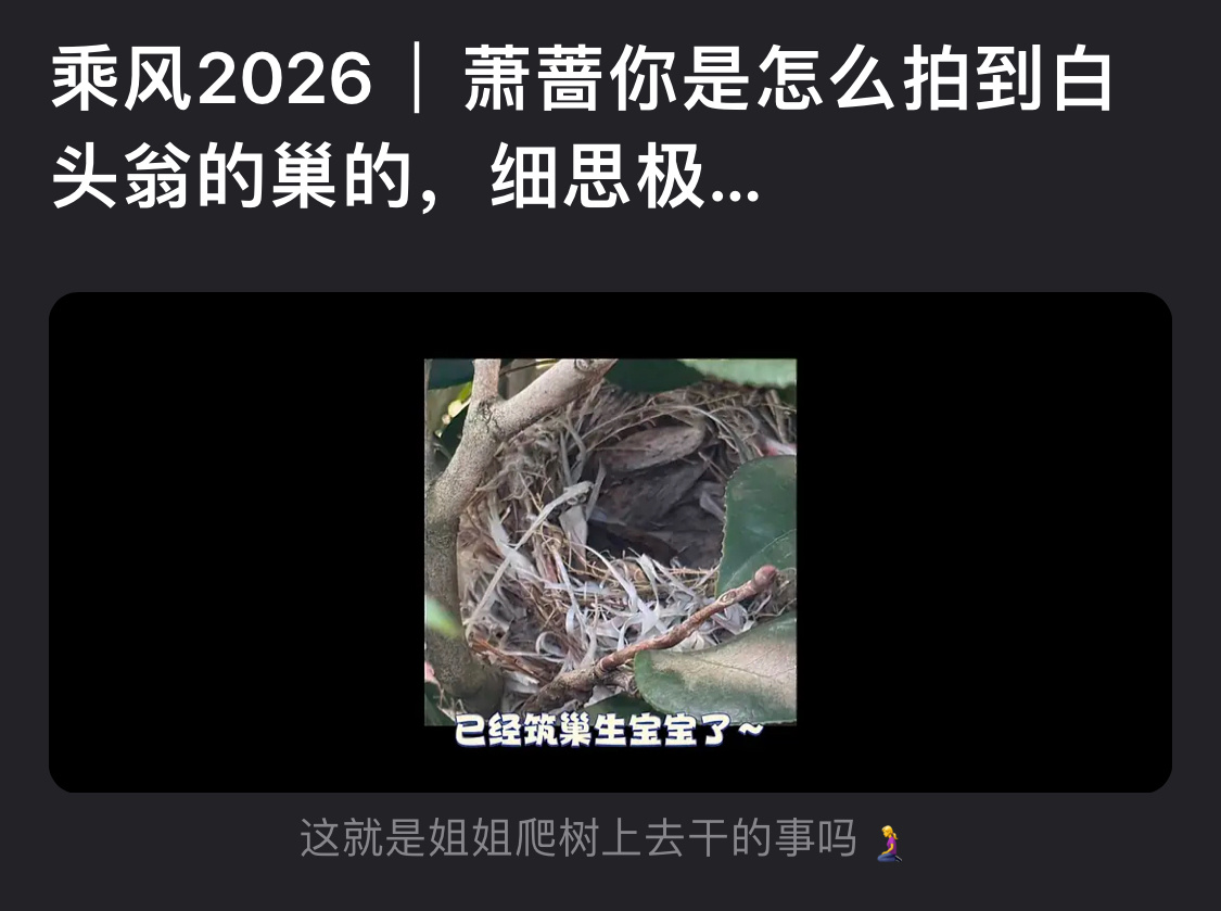 咋这样？？？ 