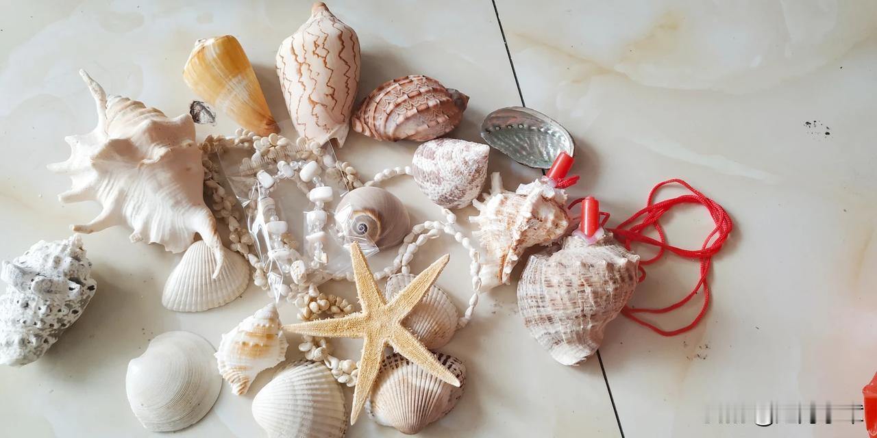 一份份的贝壳螺壳我都认真用心去搭配，我们包装也真的很用心 不会碎的。希望他们能美