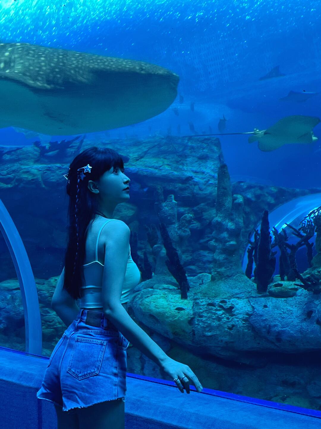 为啥之前没人告诉我，徐州欧乐堡这么好玩❗