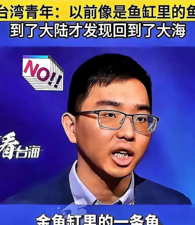 有个台湾小伙说的话，真是一下子给我干沉默了。他说：“我为什么要支持统一？因为统一