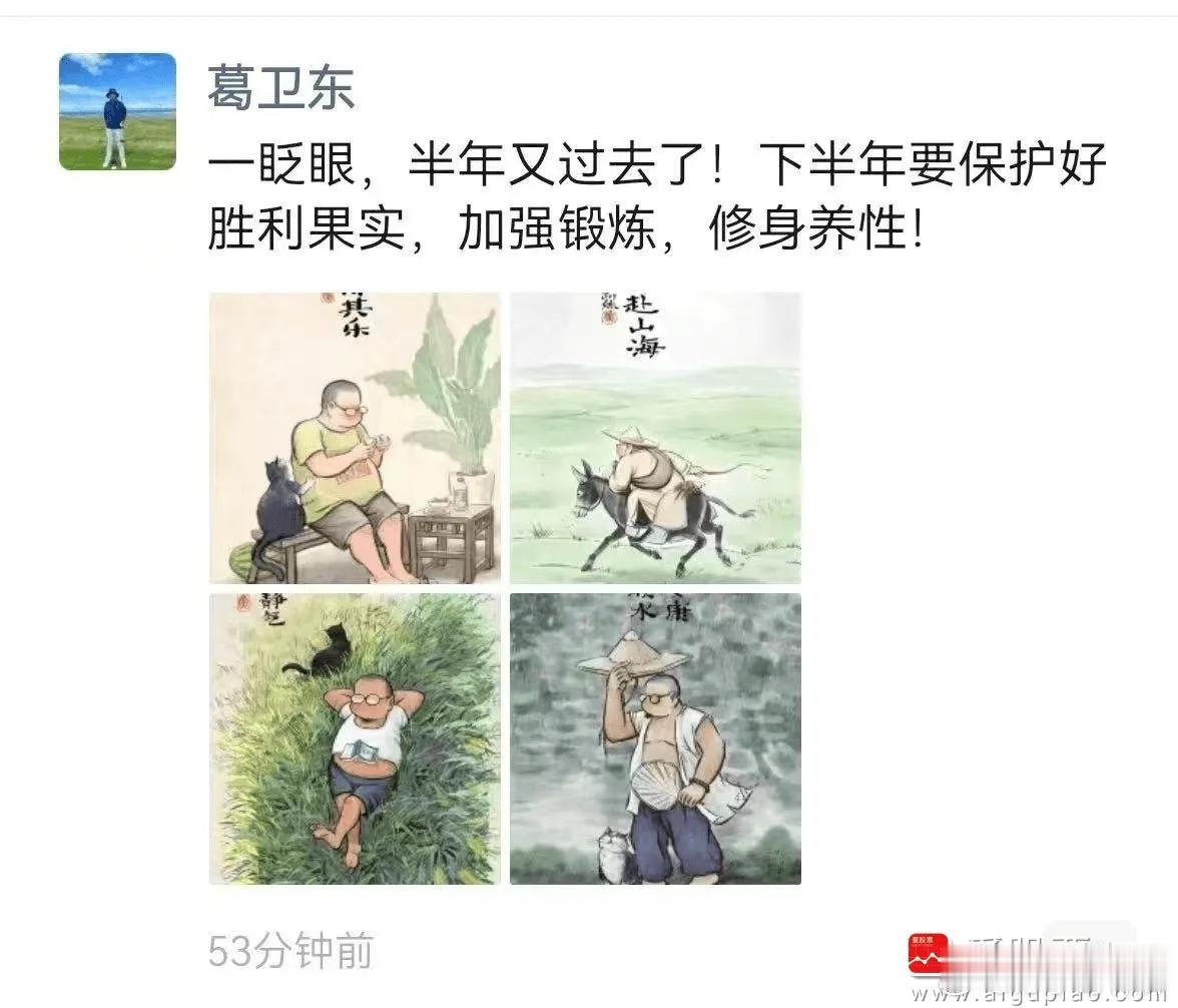 今日网传A股大佬葛卫东建议下半年保护好胜利果实，修身养性，加强锻炼！葛总今年在A