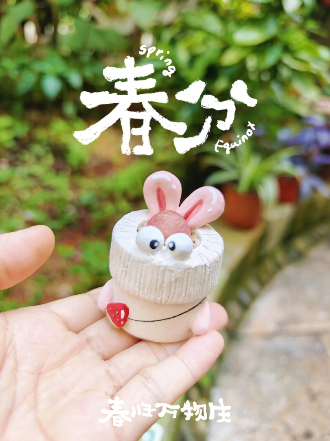 E姐多肉花盆｜给顾客搭配的大灯 粉了