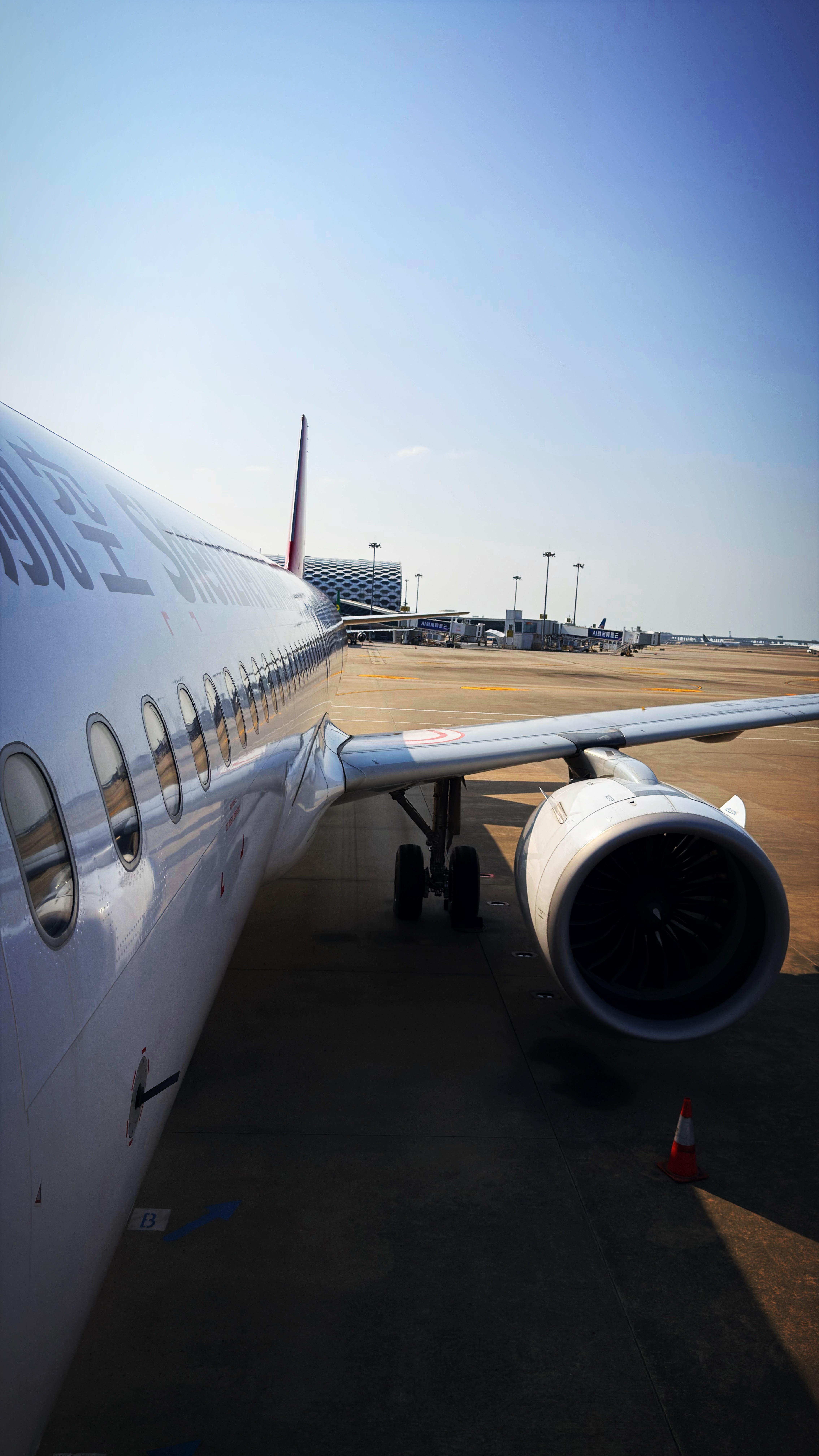 坐飞机时发现邻座是只耶耶一会我看看是不是，好可爱！ 