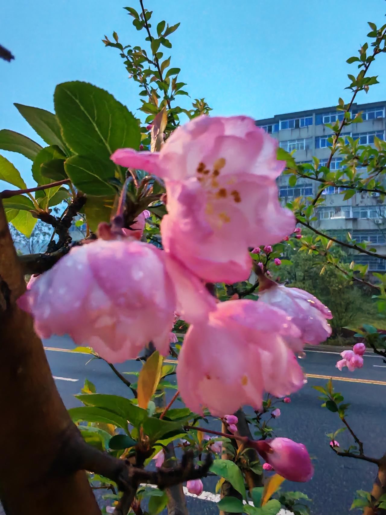 分享一张随手拍