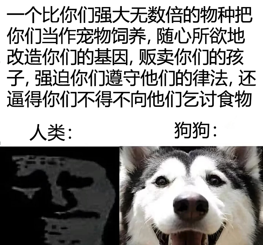 研究证明，圈养的动物会患上抑郁症，并因缺乏生活目标而变得冷漠、懒散，寿命也大大缩
