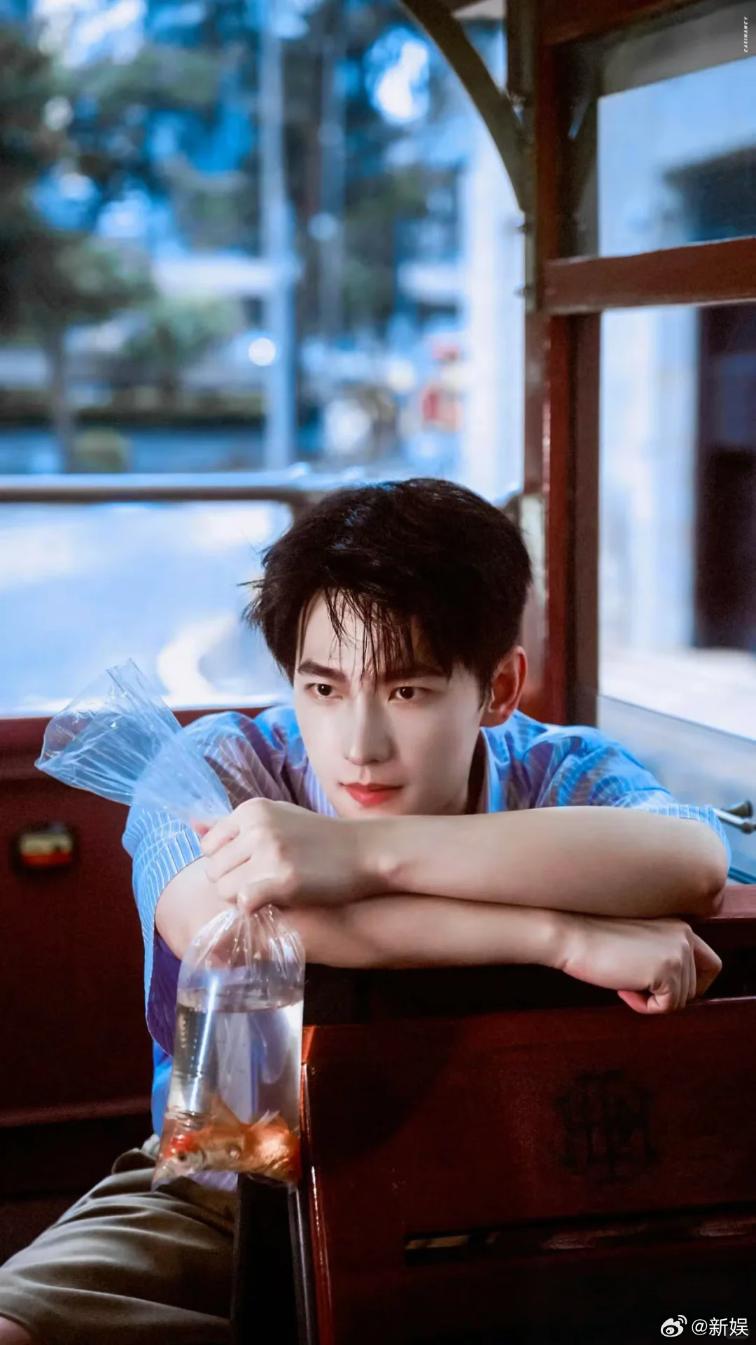 杨洋元宵海报杨洋祝大家元宵节快乐 杨洋元宵节来营业了，祝大家元宵节快乐~发的海报