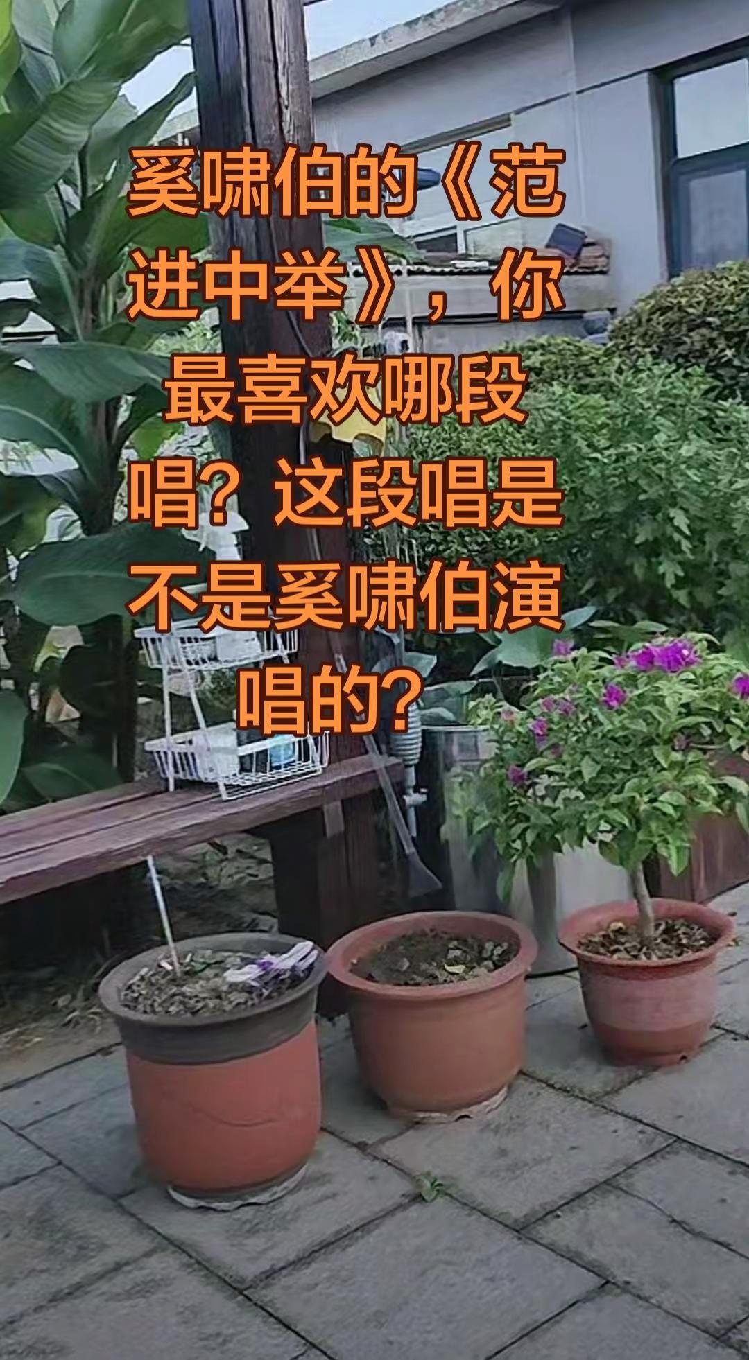 这段《范进中举》是谁唱的？