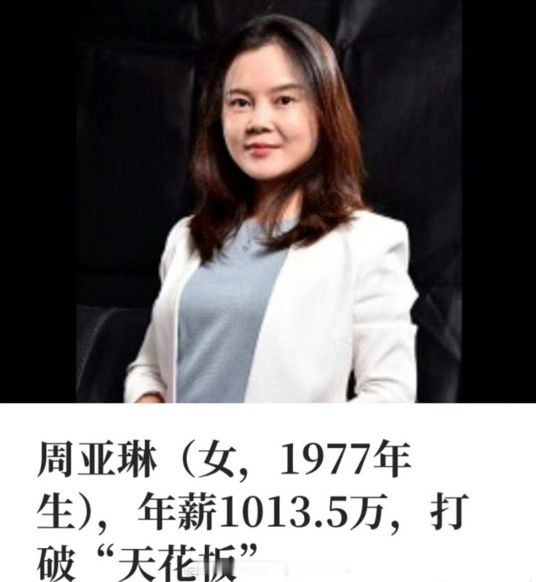 比亚迪汽车高级副总裁兼财务总监周亚琳税前年薪 10,135,000 元这不妥妥的