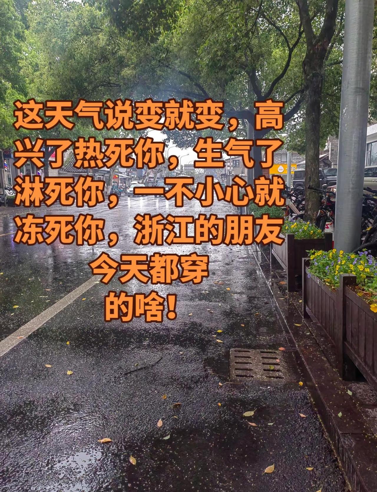 浙江的天气真能折腾人袄子穿起来