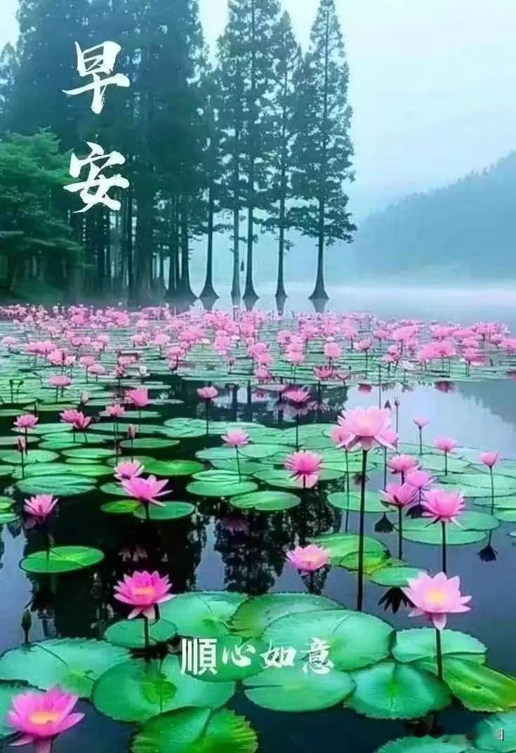 《卜算子·晨安悟心》

晓起觅欢颜，
世事何须躁。
万象浮华皆是尘，
康健为珍宝