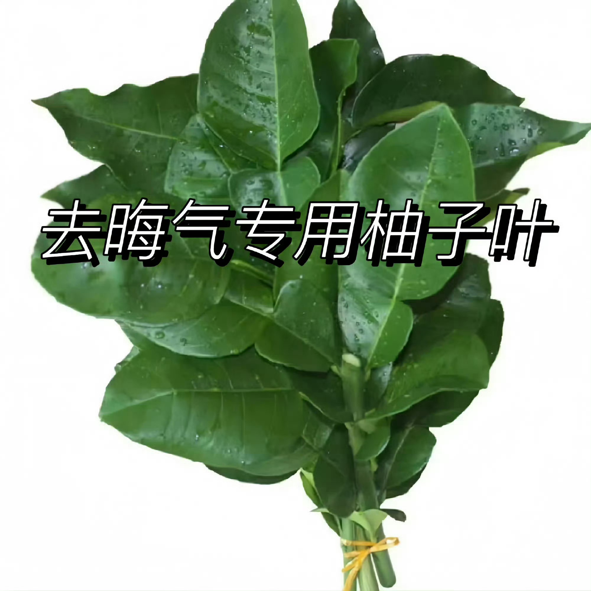 去除霉运 通通退散！不要小看一两万块钱 ​​​