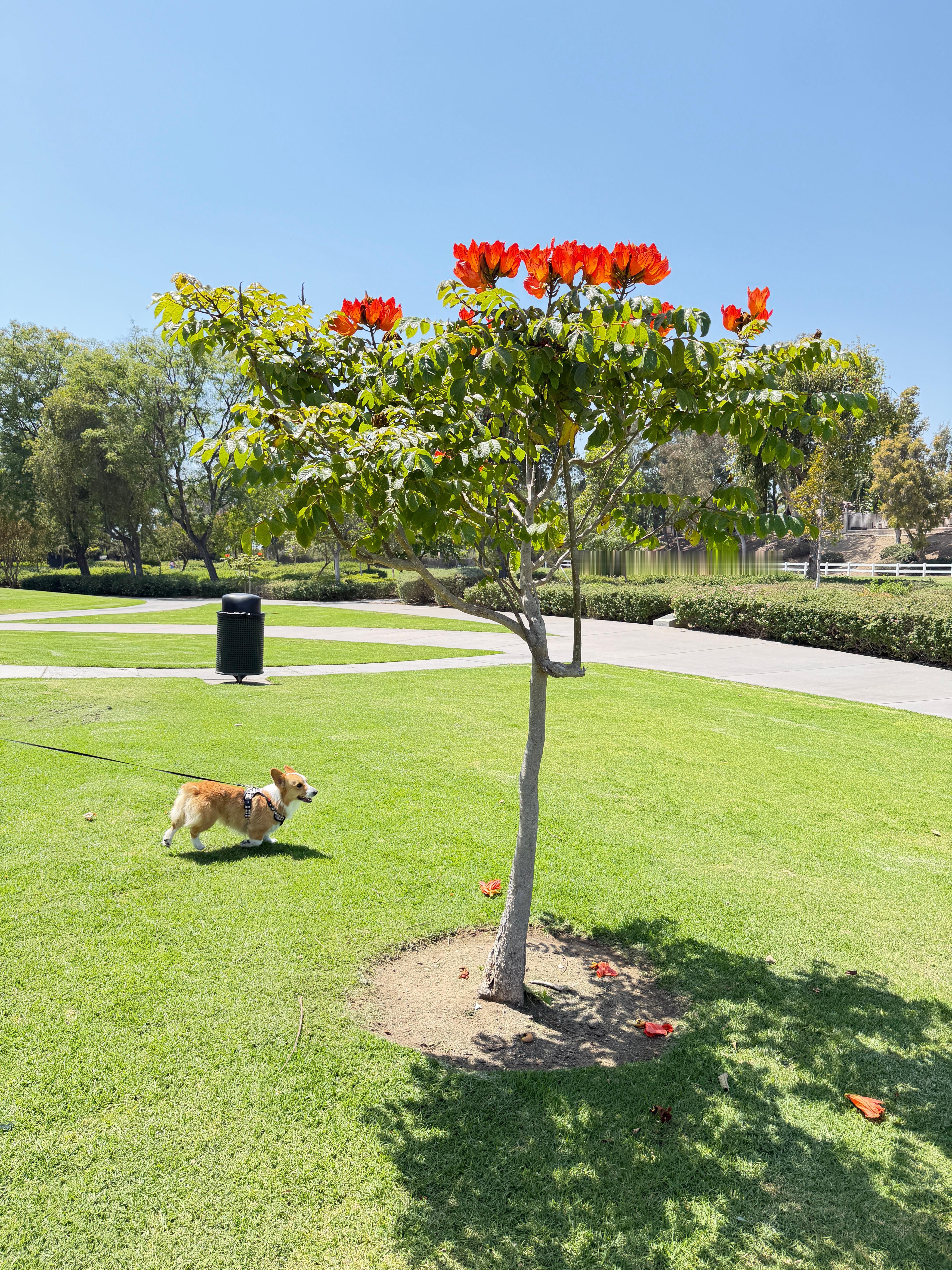 闺女这两天回家，和我有说不完的话，聊不完的话题。聊天中得知她现在同班一位女同学，