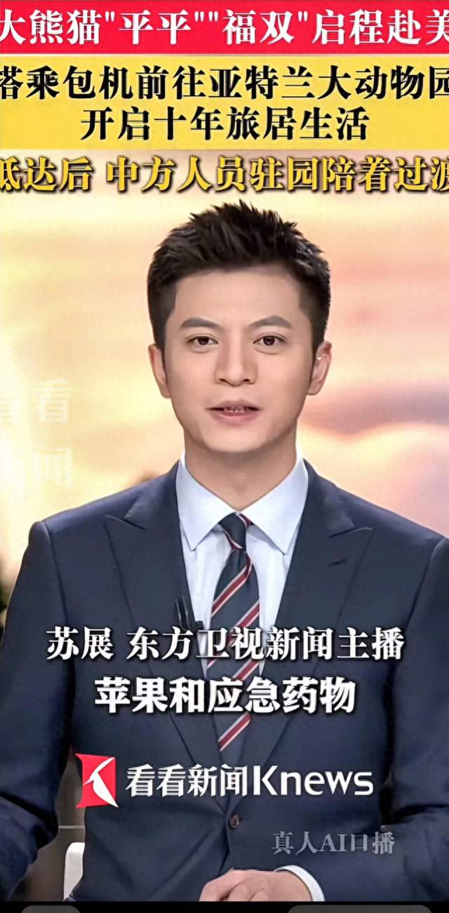 国宝启程！大熊猫平平福双搭乘包机赴美旅居