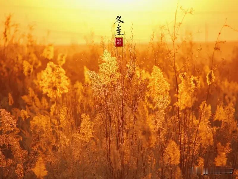 三千年前的冬至会是什么样？是什么引起这么大的恐慌？史书上记载：公元前1300年的